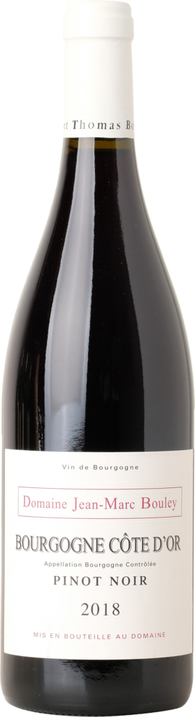 Bourgogne Côte d´Or Pinot Noir 2021 0,75 l